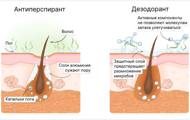 Как правильно использовать антиперспирант
